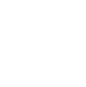 BIZ_ADV_logo_bianco